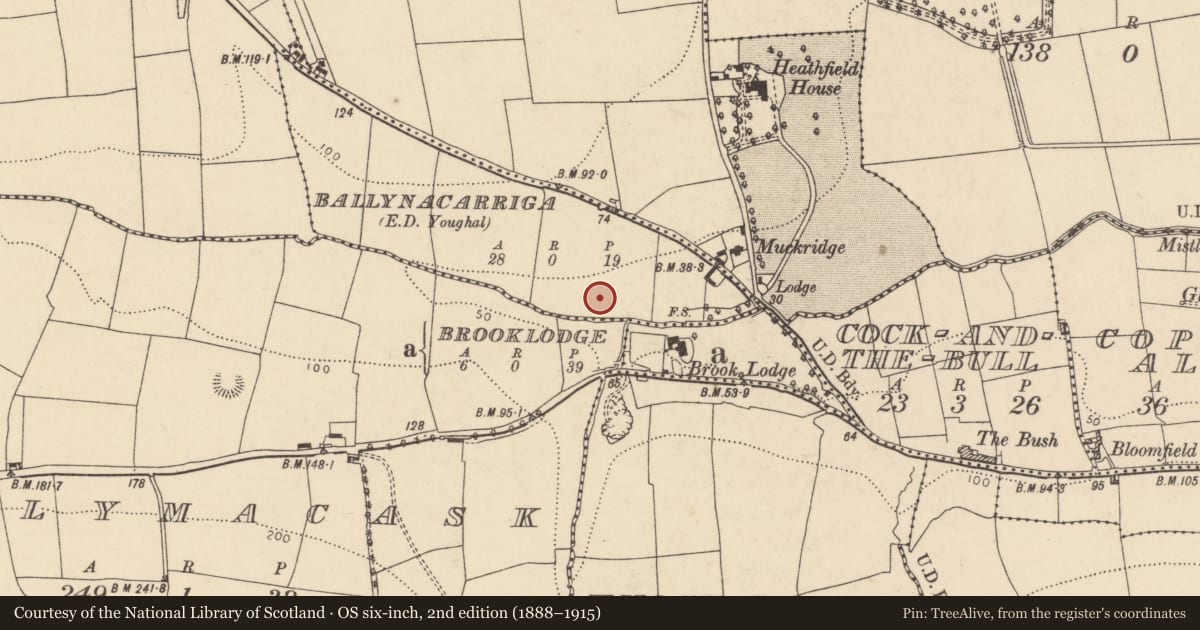 Ordnance Survey six-inch map, 2nd edition (1888–1915) covering the location of Kiln - corn-drying, Ballynacarriga (Imokilly By., Youghal Par.), County Cork, with a pin at the register's coordinates