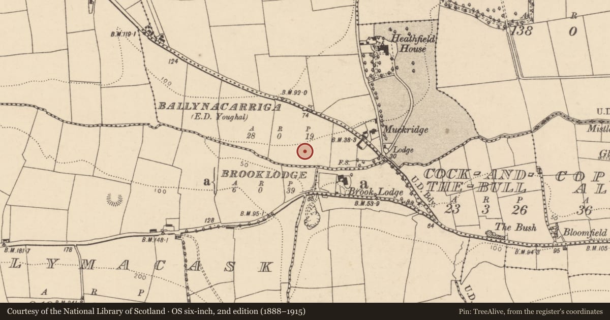 Ordnance Survey six-inch map, 2nd edition (1888–1915) covering the location of Kiln, Ballynacarriga (Imokilly By., Youghal Par.), County Cork, with a pin at the register's coordinates