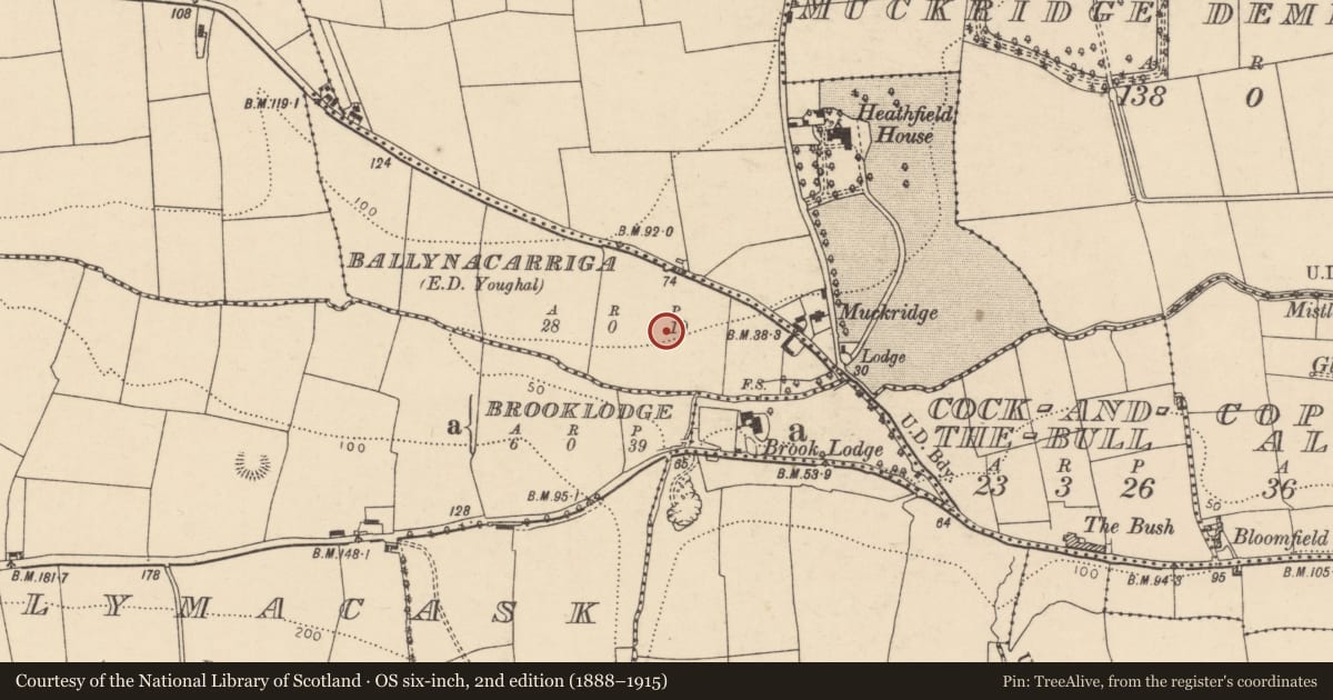 Ordnance Survey six-inch map, 2nd edition (1888–1915) covering the location of Structure, Ballynacarriga (Imokilly By., Youghal Par.), County Cork, with a pin at the register's coordinates