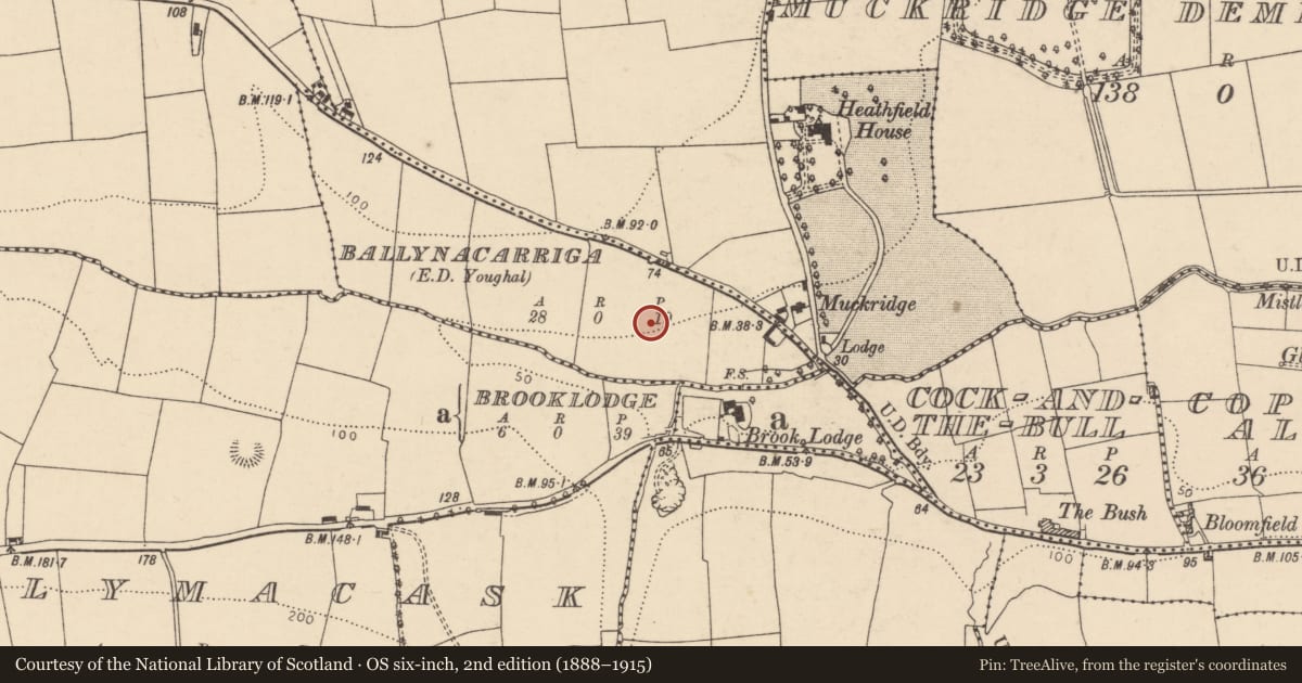 Ordnance Survey six-inch map, 2nd edition (1888–1915) covering the location of Structure, Ballynacarriga (Imokilly By., Youghal Par.), County Cork, with a pin at the register's coordinates