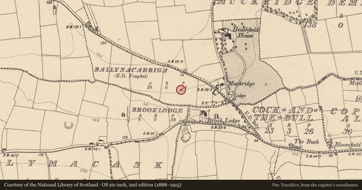 Ordnance Survey six-inch map, 2nd edition (1888–1915) covering the location of Structure, Ballynacarriga (Imokilly By., Youghal Par.), County Cork, with a pin at the register's coordinates