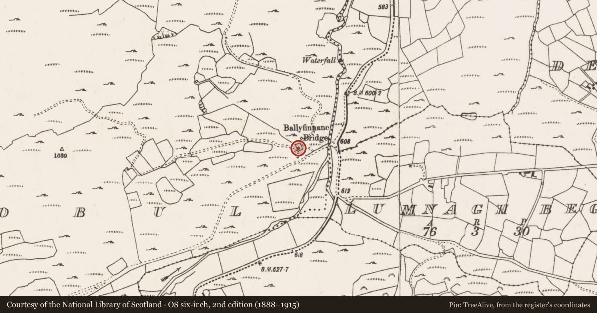 Ordnance Survey six-inch map, 2nd edition (1888–1915) covering the location of Kiln - lime, Ré Na Bpobal, County Cork, with a pin at the register's coordinates