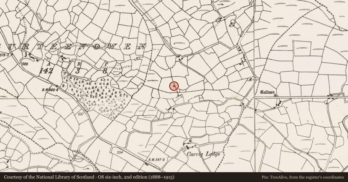 Ordnance Survey six-inch map, 2nd edition (1888–1915) covering the location of Souterrain, Carraig Na Damhaire, County Cork, with a pin at the register's coordinates
