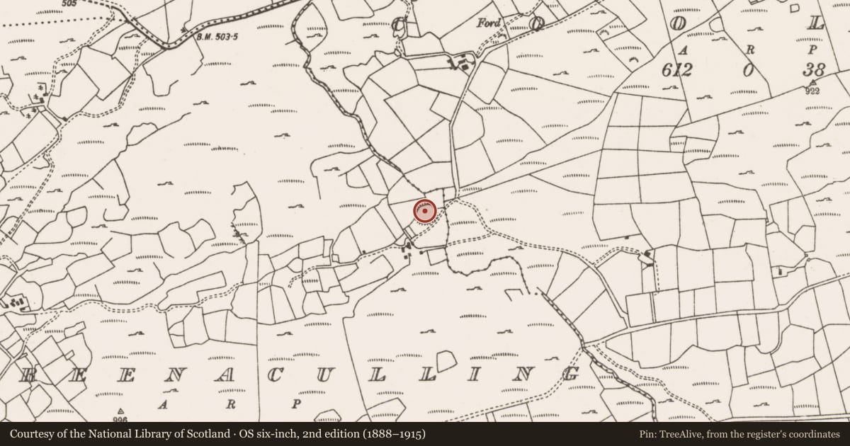 Ordnance Survey six-inch map, 2nd edition (1888–1915) covering the location of Ringfort - rath, Doire An Chuillinn, County Cork, with a pin at the register's coordinates