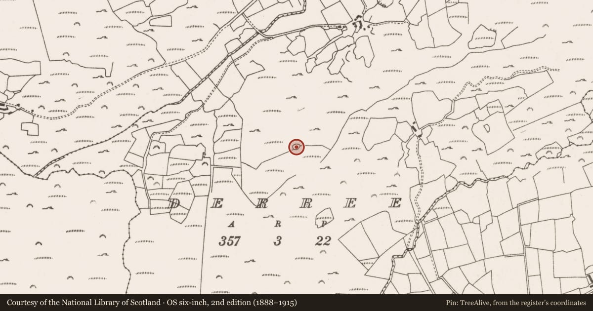 Ordnance Survey six-inch map, 2nd edition (1888–1915) covering the location of Enclosure, Na Doirí, County Cork, with a pin at the register's coordinates