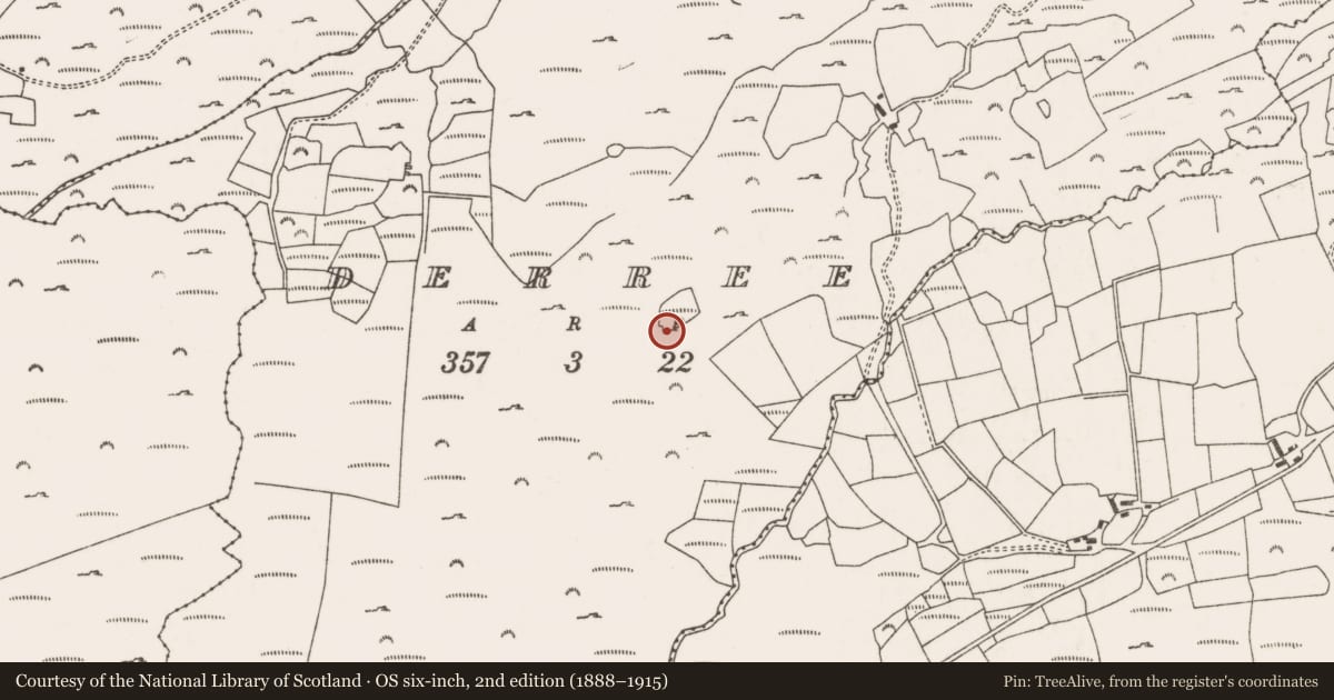 Ordnance Survey six-inch map, 2nd edition (1888–1915) covering the location of Megalithic tomb - wedge tomb, Na Doirí, County Cork, with a pin at the register's coordinates
