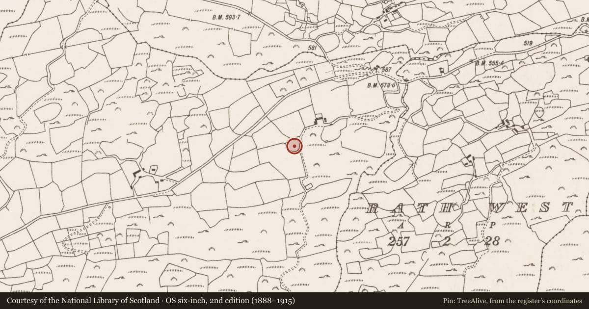 Ordnance Survey six-inch map, 2nd edition (1888–1915) covering the location of Souterrain, Gort Uí Raithile, County Cork, with a pin at the register's coordinates