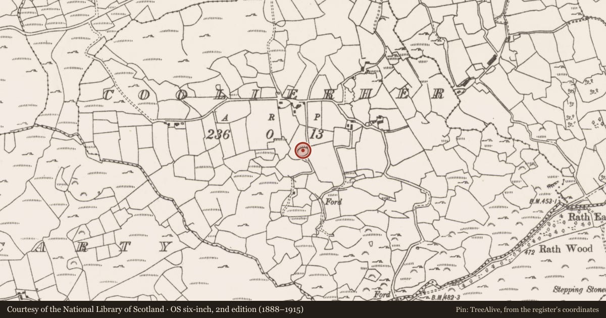 Ordnance Survey six-inch map, 2nd edition (1888–1915) covering the location of Ringfort - cashel, An Cúíl Iarthach, County Cork, with a pin at the register's coordinates