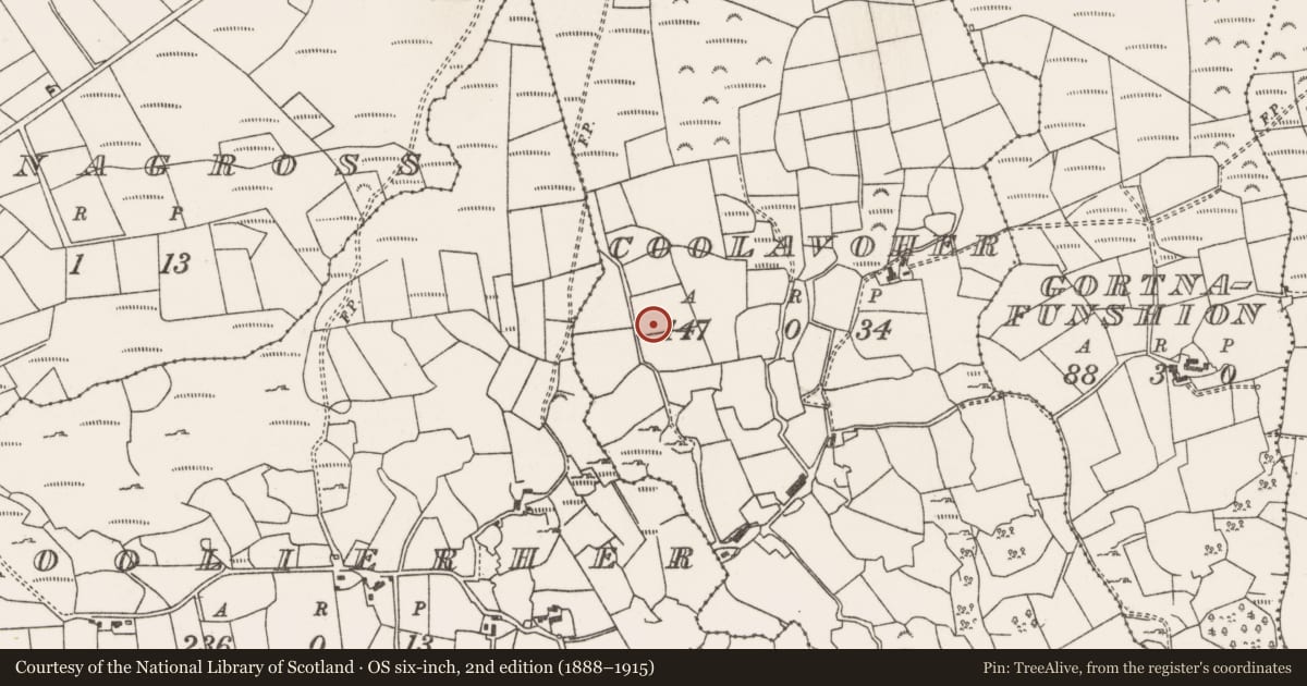 Ordnance Survey six-inch map, 2nd edition (1888–1915) covering the location of Anomalous stone group, Cúil An Mhothair, County Cork, with a pin at the register's coordinates