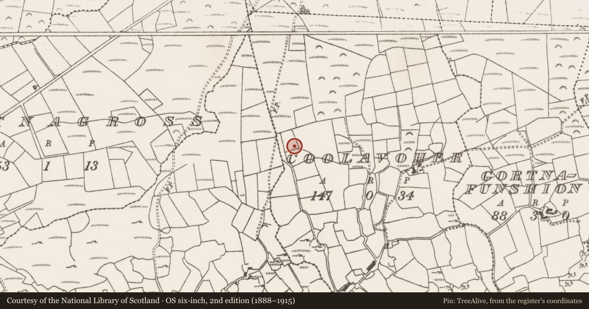 Ordnance Survey six-inch map, 2nd edition (1888–1915) covering the location of Stone row, Cúil An Mhothair, County Cork, with a pin at the register's coordinates