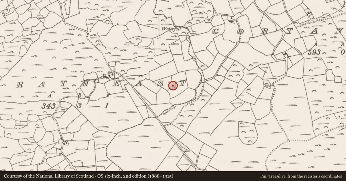 Ordnance Survey six-inch map, 2nd edition (1888–1915) covering the location of Ringfort - rath, An Ráth Thoir, County Cork, with a pin at the register's coordinates