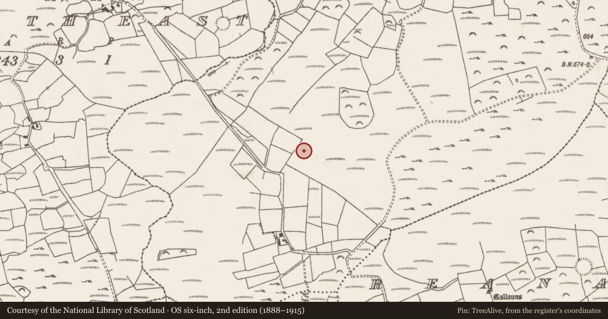 Ordnance Survey six-inch map, 2nd edition (1888–1915) covering the location of Fulacht fia, Gort An Imill, County Cork, with a pin at the register's coordinates
