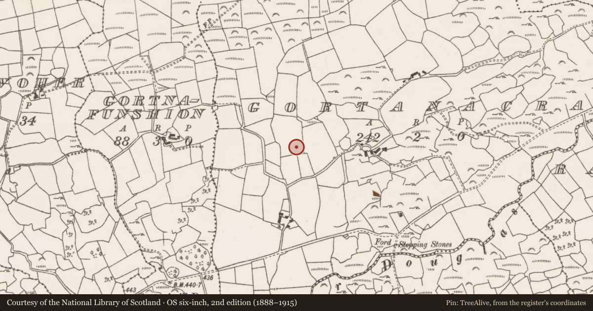 Ordnance Survey six-inch map, 2nd edition (1888–1915) covering the location of Megalithic tomb - wedge tomb, Gort An Acra, County Cork, with a pin at the register's coordinates