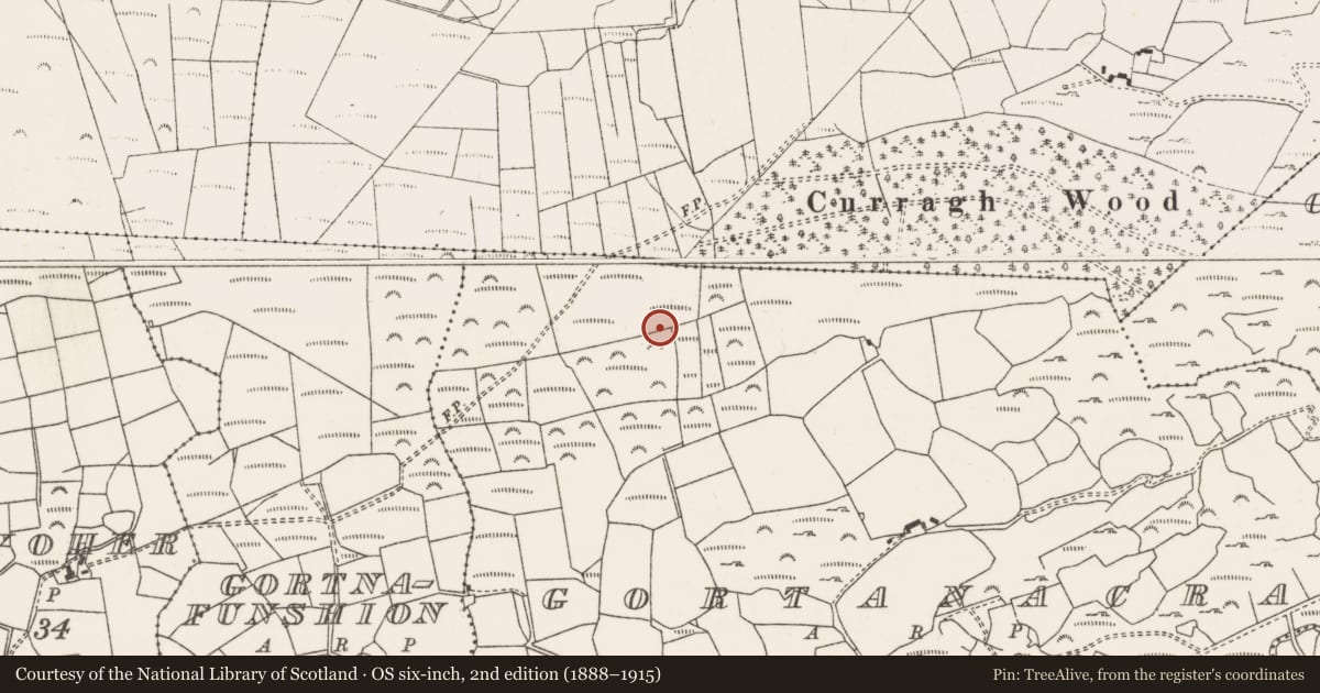 Ordnance Survey six-inch map, 2nd edition (1888–1915) covering the location of Stone circle - multiple-stone, Gort An Acra, County Cork, with a pin at the register's coordinates
