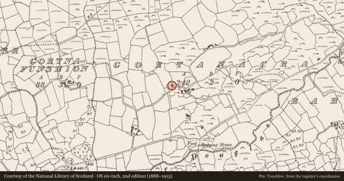 Ordnance Survey six-inch map, 2nd edition (1888–1915) covering the location of Ringfort - cashel, Gort An Acra, County Cork, with a pin at the register's coordinates