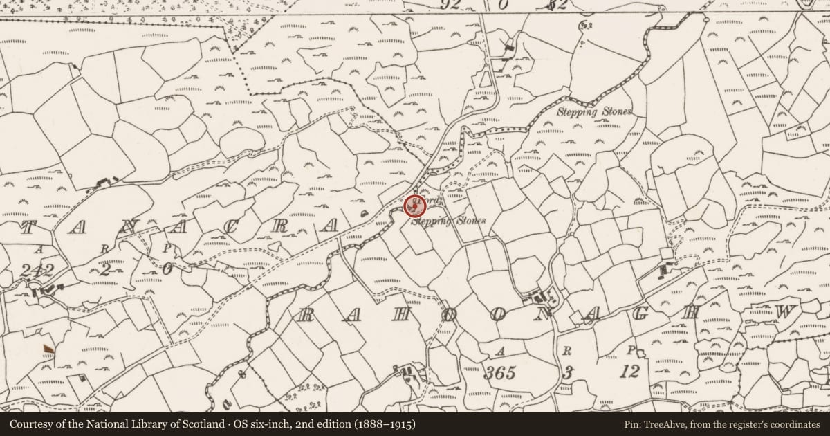 Ordnance Survey six-inch map, 2nd edition (1888–1915) covering the location of Clapper bridge, Rahoonagh West, County Cork, with a pin at the register's coordinates