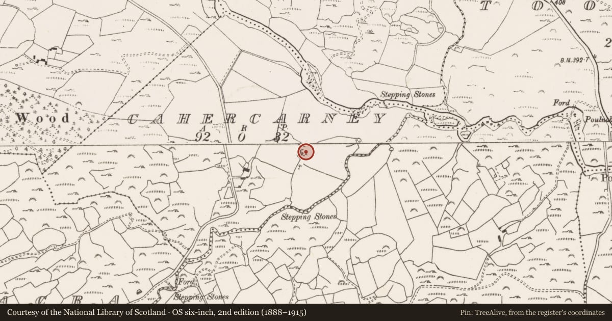 Ordnance Survey six-inch map, 2nd edition (1888–1915) covering the location of Ringfort - rath, Cathair Chearnaigh, County Cork, with a pin at the register's coordinates
