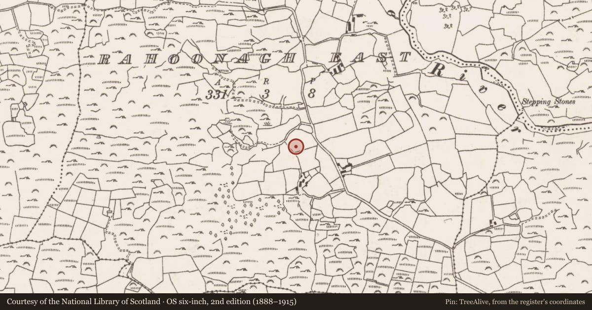 Ordnance Survey six-inch map, 2nd edition (1888–1915) covering the location of Standing stone, Rahoonagh East, County Cork, with a pin at the register's coordinates