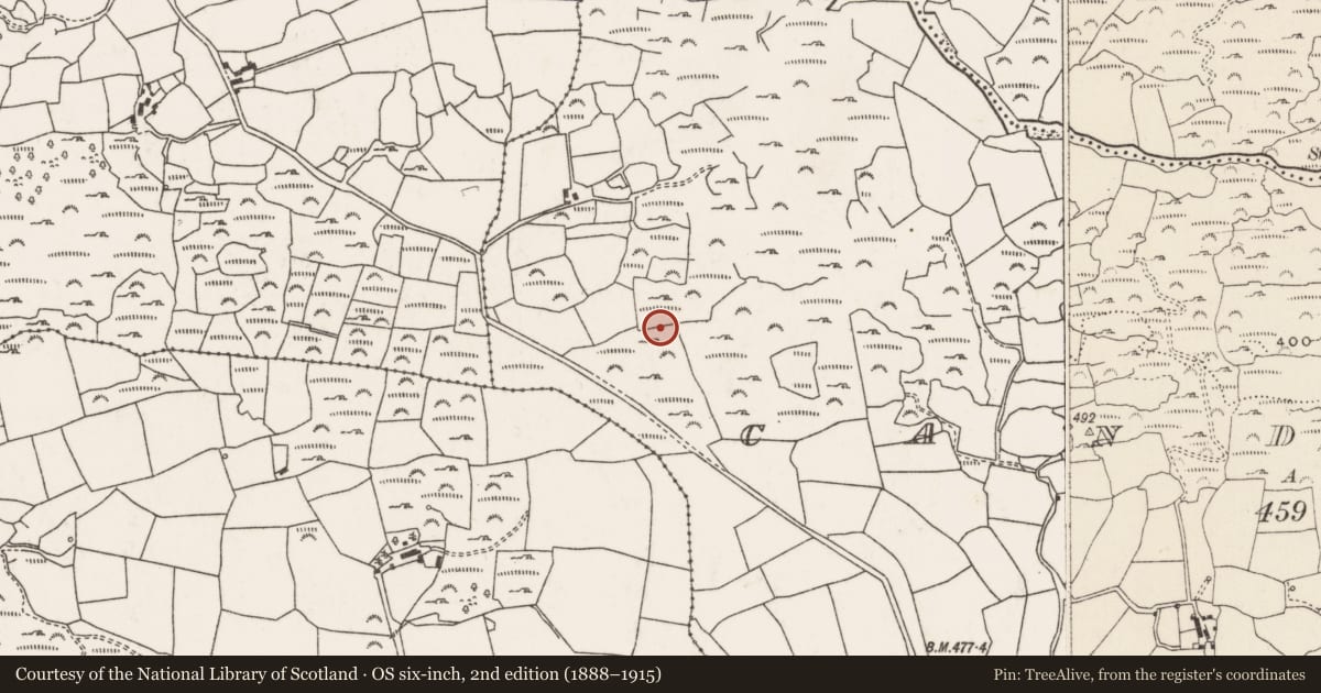 Ordnance Survey six-inch map, 2nd edition (1888–1915) covering the location of Standing stone - pair, Ceann Droma, County Cork, with a pin at the register's coordinates