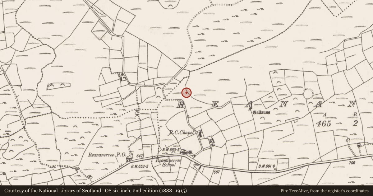 Ordnance Survey six-inch map, 2nd edition (1888–1915) covering the location of Fulacht fia, Ré Na Ndoirí, County Cork, with a pin at the register's coordinates