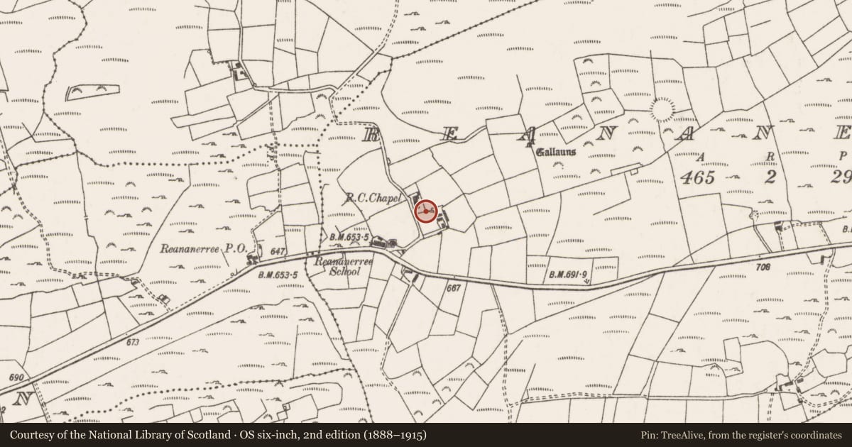 Ordnance Survey six-inch map, 2nd edition (1888–1915) covering the location of Bullaun stone, Ré Na Ndoirí, County Cork, with a pin at the register's coordinates