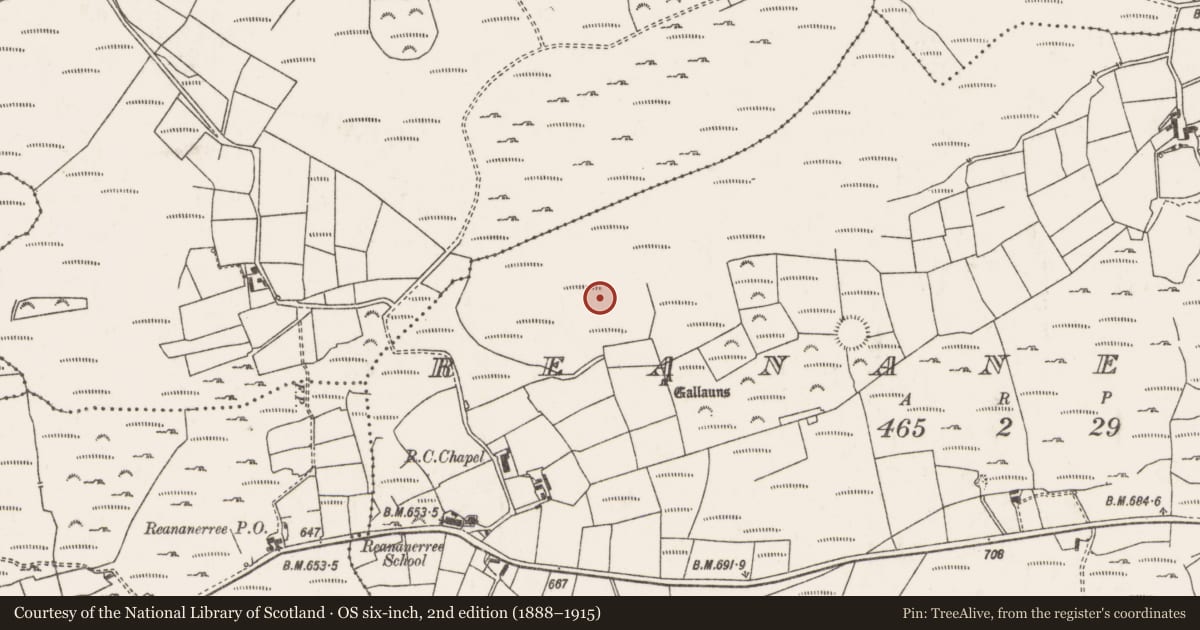 Ordnance Survey six-inch map, 2nd edition (1888–1915) covering the location of Fulacht fia, Ré Na Ndoirí, County Cork, with a pin at the register's coordinates