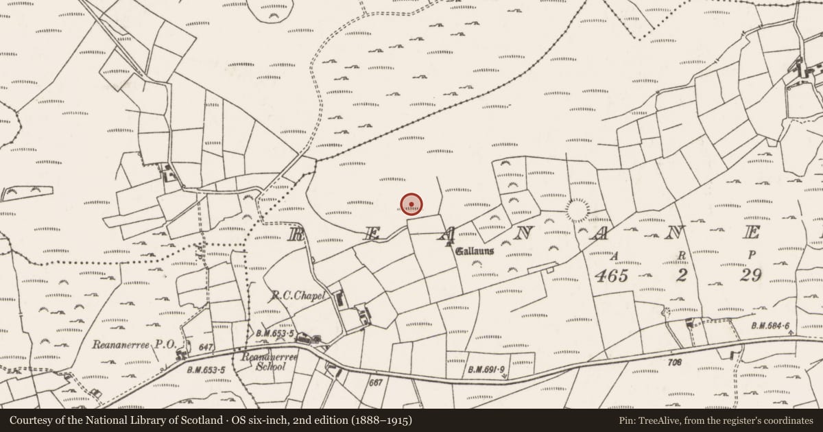 Ordnance Survey six-inch map, 2nd edition (1888–1915) covering the location of Stone circle - five-stone, Ré Na Ndoirí, County Cork, with a pin at the register's coordinates