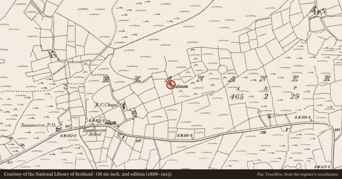 Ordnance Survey six-inch map, 2nd edition (1888–1915) covering the location of Stone row, Ré Na Ndoirí, County Cork, with a pin at the register's coordinates