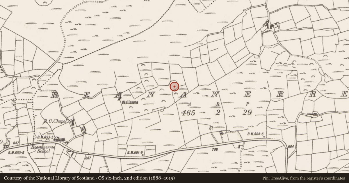 Ordnance Survey six-inch map, 2nd edition (1888–1915) covering the location of Ringfort - rath, Ré Na Ndoirí, County Cork, with a pin at the register's coordinates