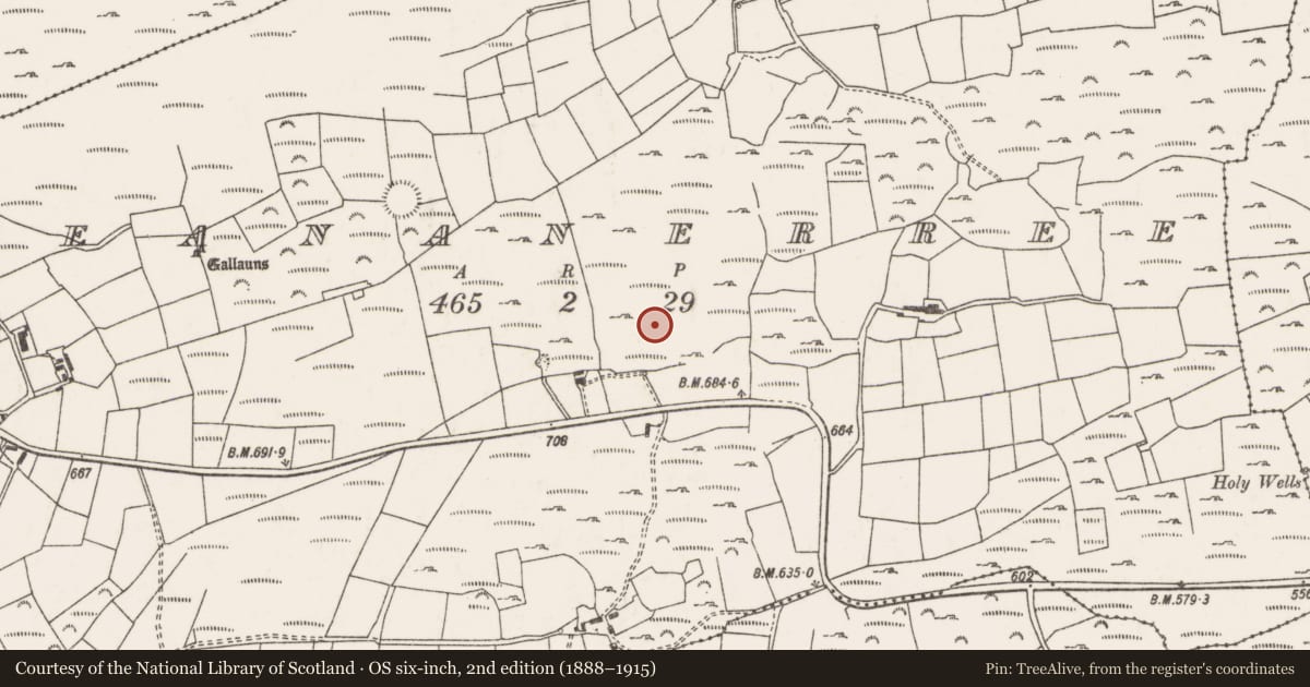 Ordnance Survey six-inch map, 2nd edition (1888–1915) covering the location of Megalithic tomb - wedge tomb, Ré Na Ndoirí, County Cork, with a pin at the register's coordinates