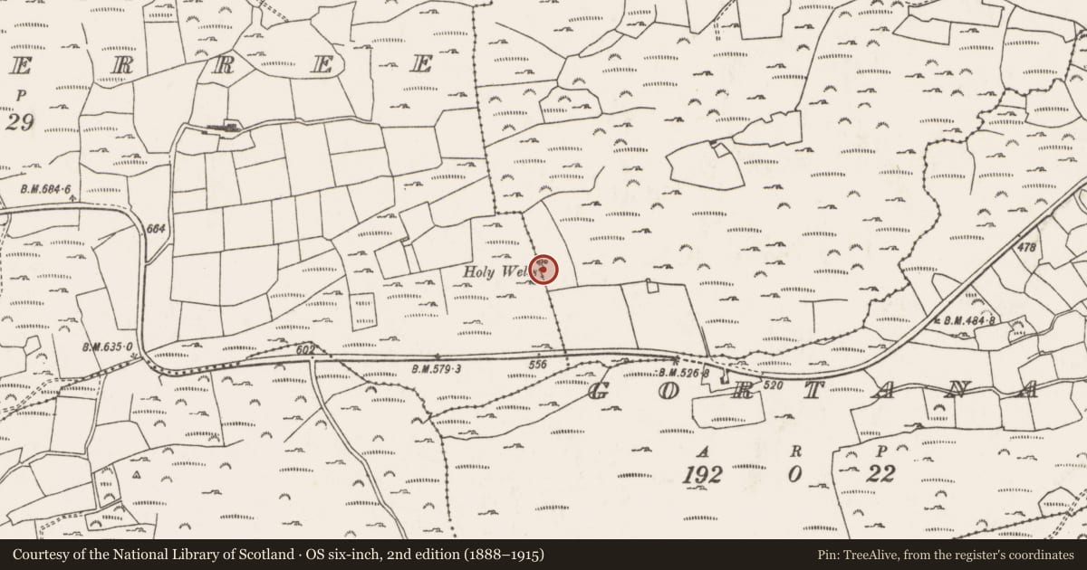 Ordnance Survey six-inch map, 2nd edition (1888–1915) covering the location of Ritual site - holy well, Cloch Eidhneach, County Cork, with a pin at the register's coordinates