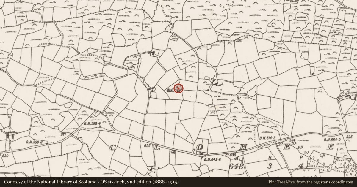 Ordnance Survey six-inch map, 2nd edition (1888–1915) covering the location of Standing stone, Cloch Eidhneach, County Cork, with a pin at the register's coordinates