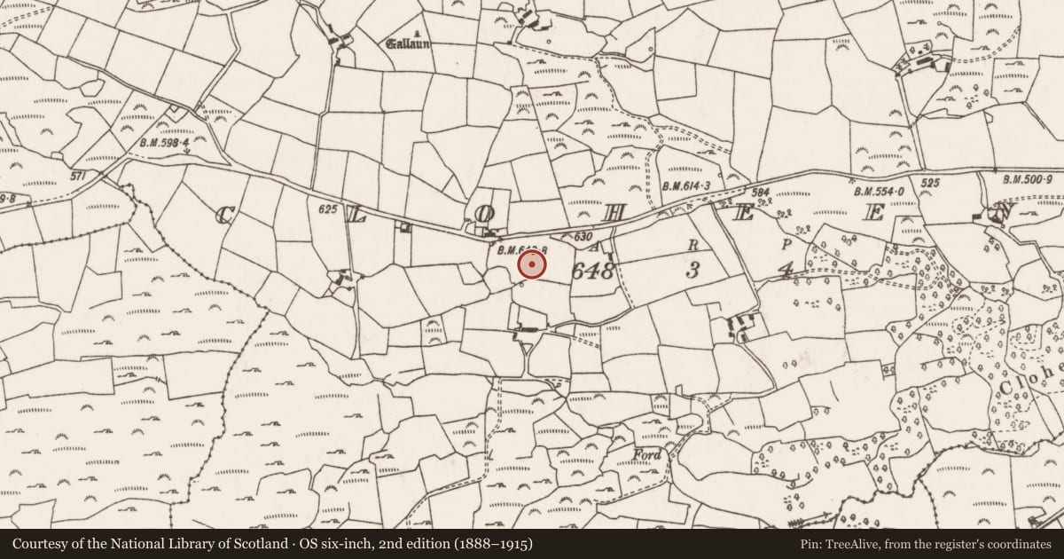 Ordnance Survey six-inch map, 2nd edition (1888–1915) covering the location of Ecclesiastical site, Cloch Eidhneach, County Cork, with a pin at the register's coordinates