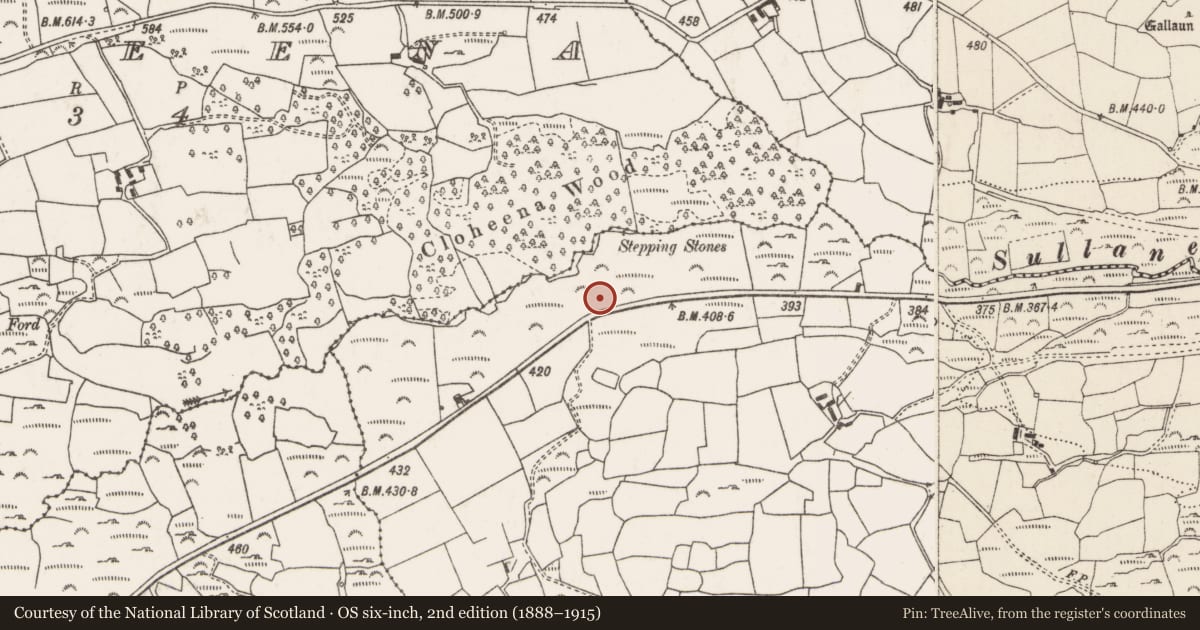 Ordnance Survey six-inch map, 2nd edition (1888–1915) covering the location of Standing stone, Cnoc Sathairn, County Cork, with a pin at the register's coordinates