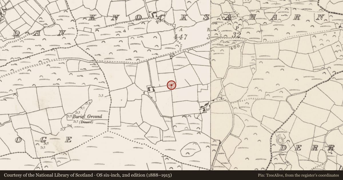 Ordnance Survey six-inch map, 2nd edition (1888–1915) covering the location of Standing stone, Cnoc Sathairn, County Cork, with a pin at the register's coordinates
