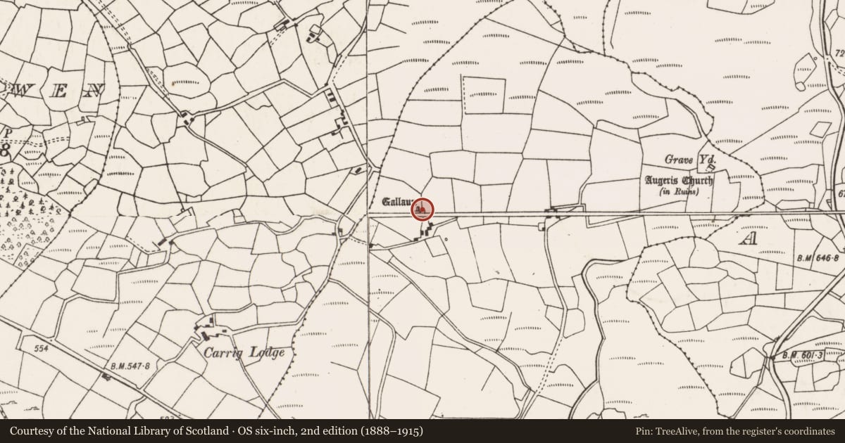Ordnance Survey six-inch map, 2nd edition (1888–1915) covering the location of Standing stone, Goirtín Na Coille, County Cork, with a pin at the register's coordinates