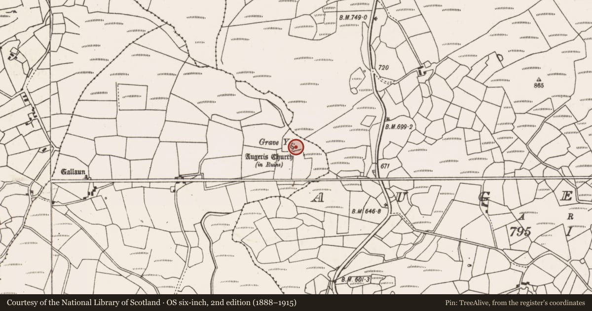 Ordnance Survey six-inch map, 2nd edition (1888–1915) covering the location of Burial ground, Goirtín Na Coille, County Cork, with a pin at the register's coordinates
