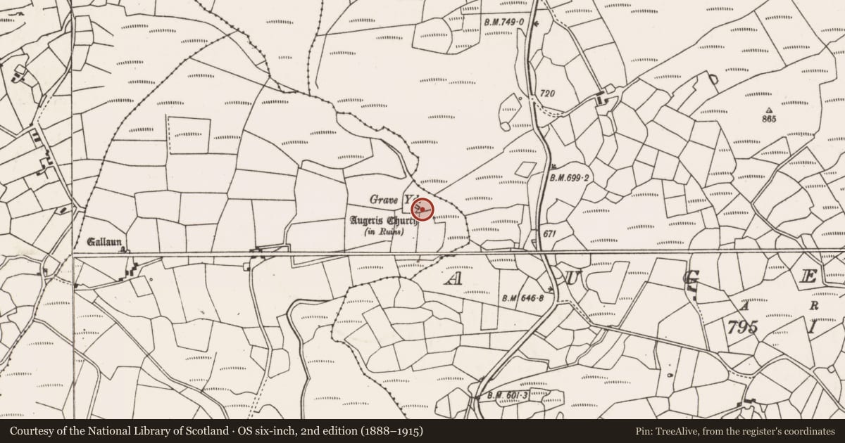 Ordnance Survey six-inch map, 2nd edition (1888–1915) covering the location of Church, Goirtín Na Coille, County Cork, with a pin at the register's coordinates