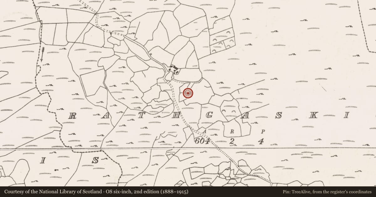 Ordnance Survey six-inch map, 2nd edition (1888–1915) covering the location of Souterrain, Ráth Ghaiscígh, County Cork, with a pin at the register's coordinates