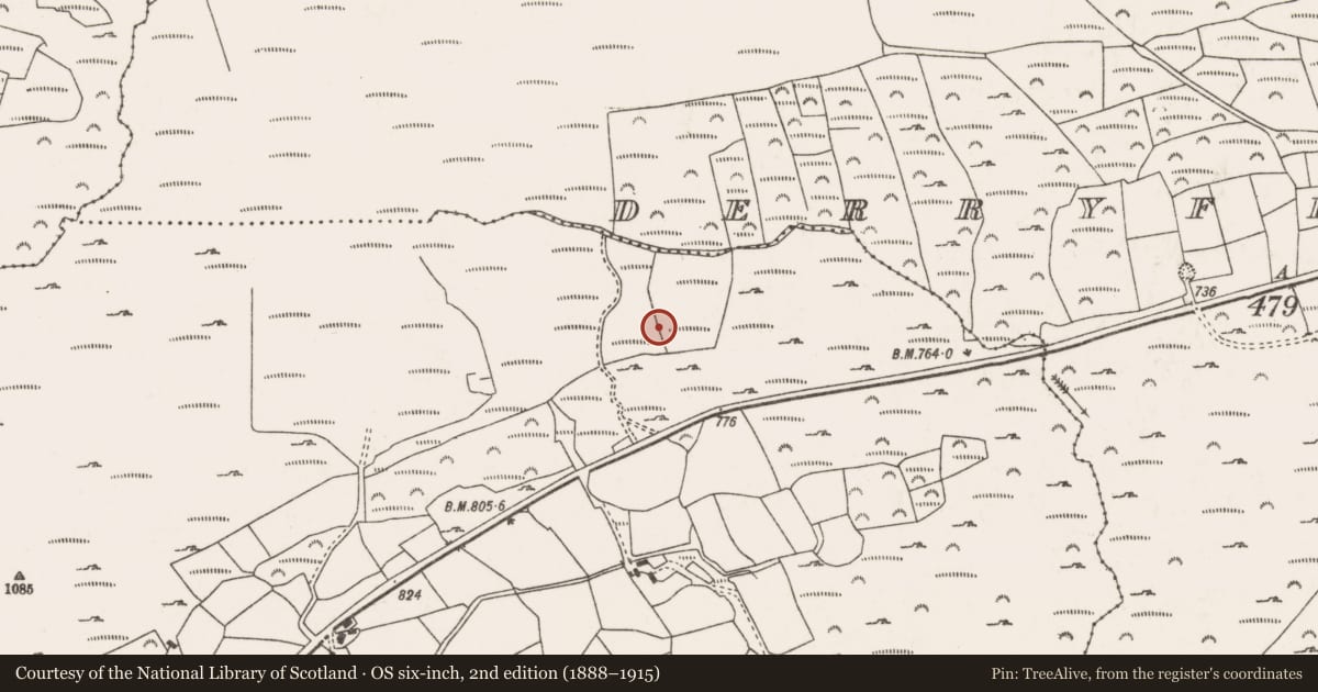 Ordnance Survey six-inch map, 2nd edition (1888–1915) covering the location of Cairn - radial-stone cairn, Gort Na Binne, County Cork, with a pin at the register's coordinates
