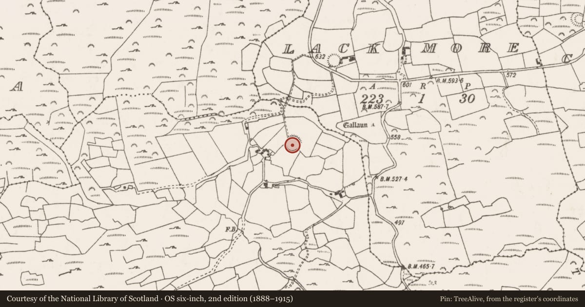 Ordnance Survey six-inch map, 2nd edition (1888–1915) covering the location of Ringfort - rath, Leac Bheag, County Cork, with a pin at the register's coordinates