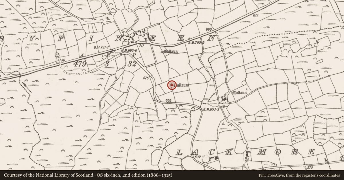 Ordnance Survey six-inch map, 2nd edition (1888–1915) covering the location of Standing stone, Doire Fhínín, County Cork, with a pin at the register's coordinates