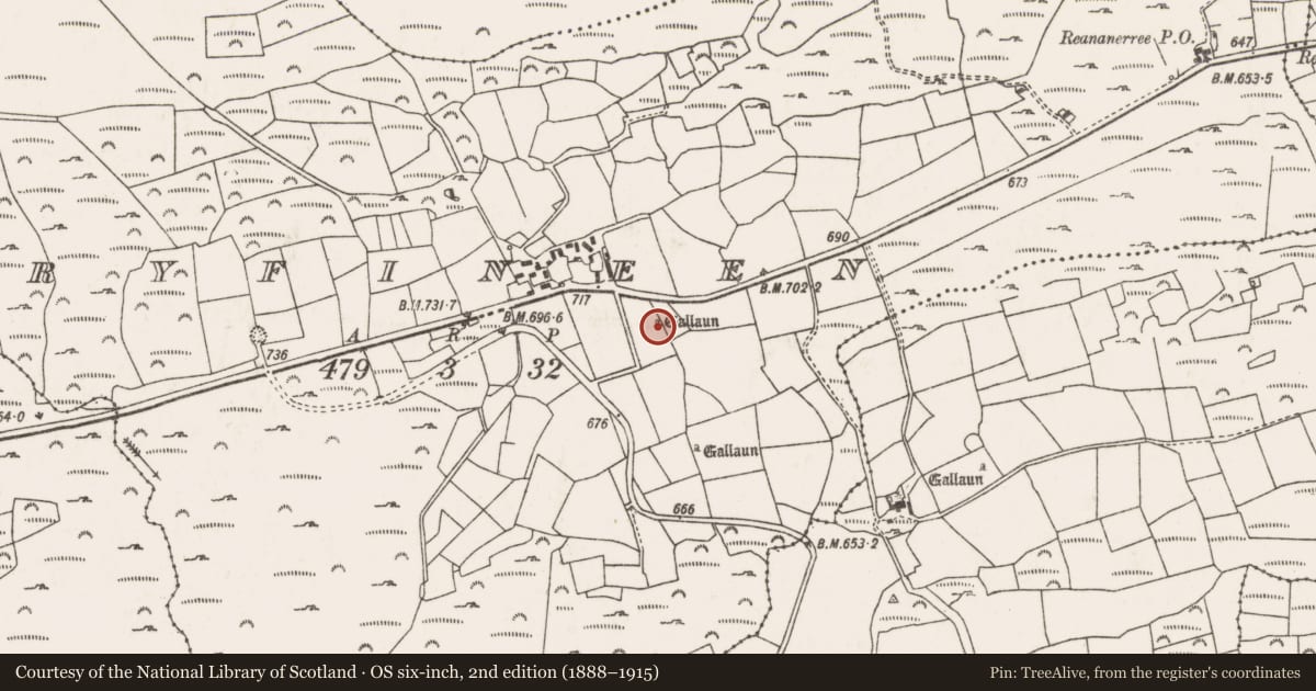 Ordnance Survey six-inch map, 2nd edition (1888–1915) covering the location of Standing stone, Doire Fhínín, County Cork, with a pin at the register's coordinates