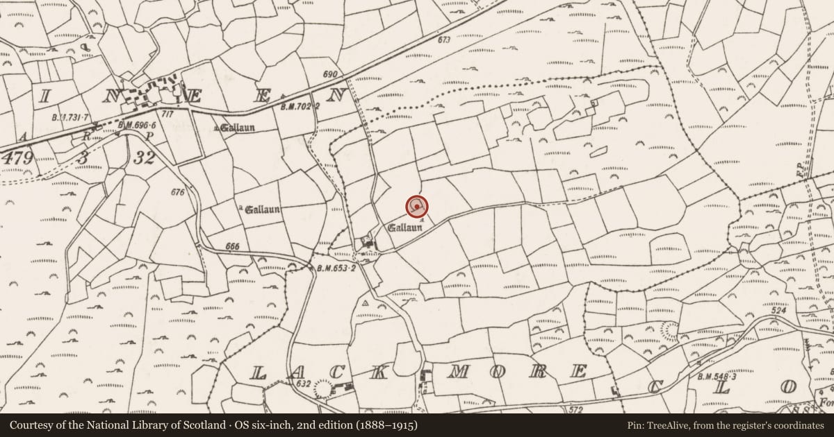 Ordnance Survey six-inch map, 2nd edition (1888–1915) covering the location of Ringfort - rath, An Leac Mhór, County Cork, with a pin at the register's coordinates