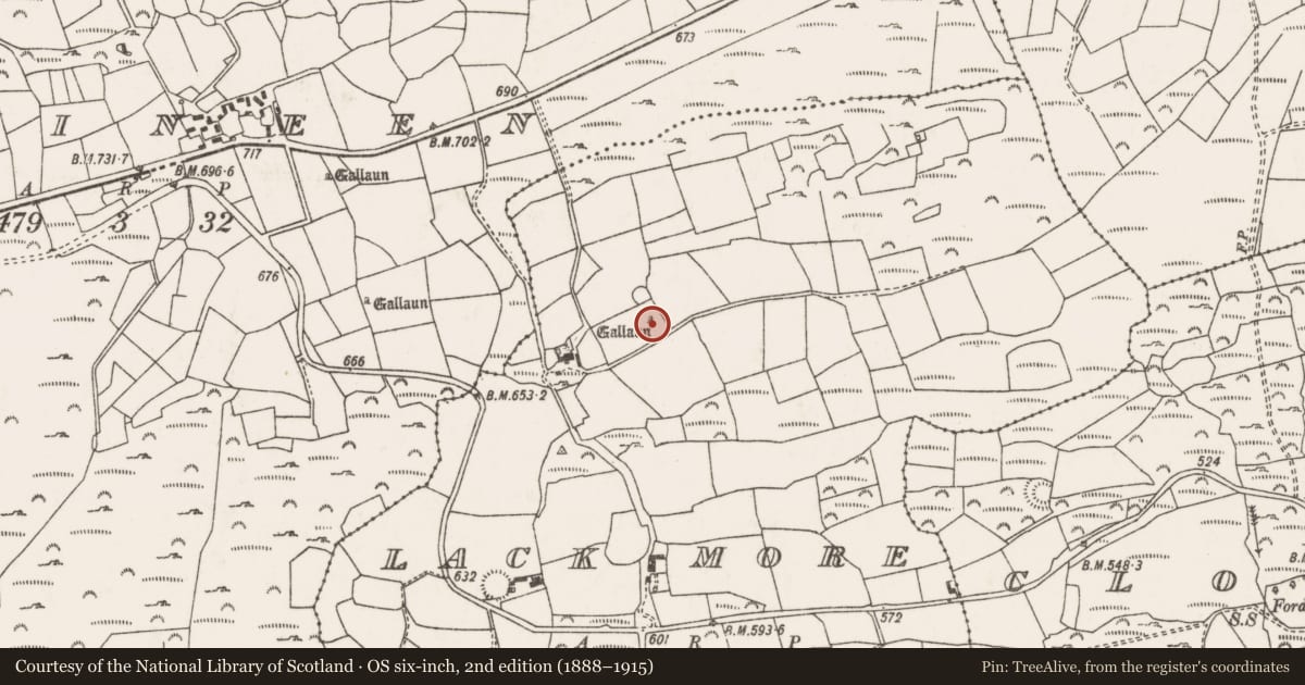 Ordnance Survey six-inch map, 2nd edition (1888–1915) covering the location of Standing stone, An Leac Mhór, County Cork, with a pin at the register's coordinates