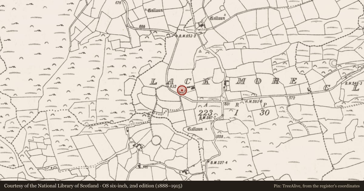 Ordnance Survey six-inch map, 2nd edition (1888–1915) covering the location of Ringfort - rath, An Leac Mhór, County Cork, with a pin at the register's coordinates