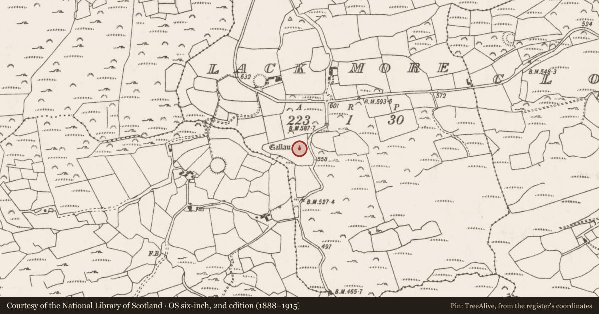 Ordnance Survey six-inch map, 2nd edition (1888–1915) covering the location of Standing stone, An Leac Mhór, County Cork, with a pin at the register's coordinates
