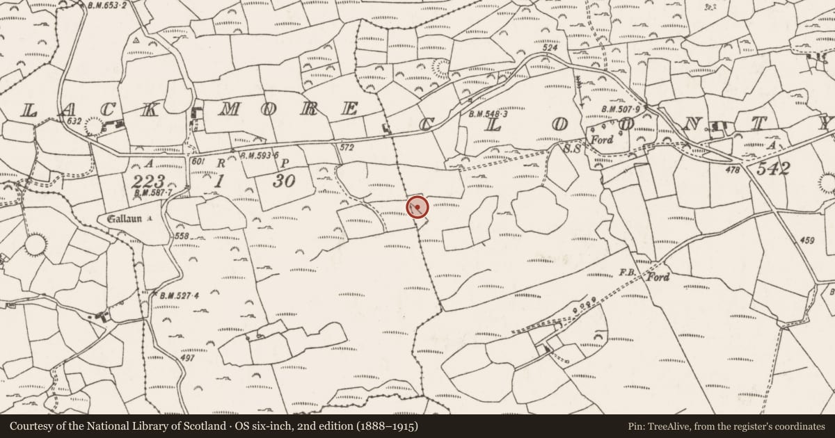 Ordnance Survey six-inch map, 2nd edition (1888–1915) covering the location of Fulacht fia, Cluain Tí Cairtigh, County Cork, with a pin at the register's coordinates