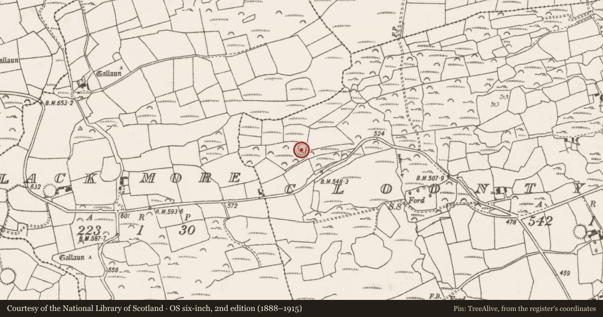Ordnance Survey six-inch map, 2nd edition (1888–1915) covering the location of Ringfort - rath, Cluain Tí Cairtigh, County Cork, with a pin at the register's coordinates