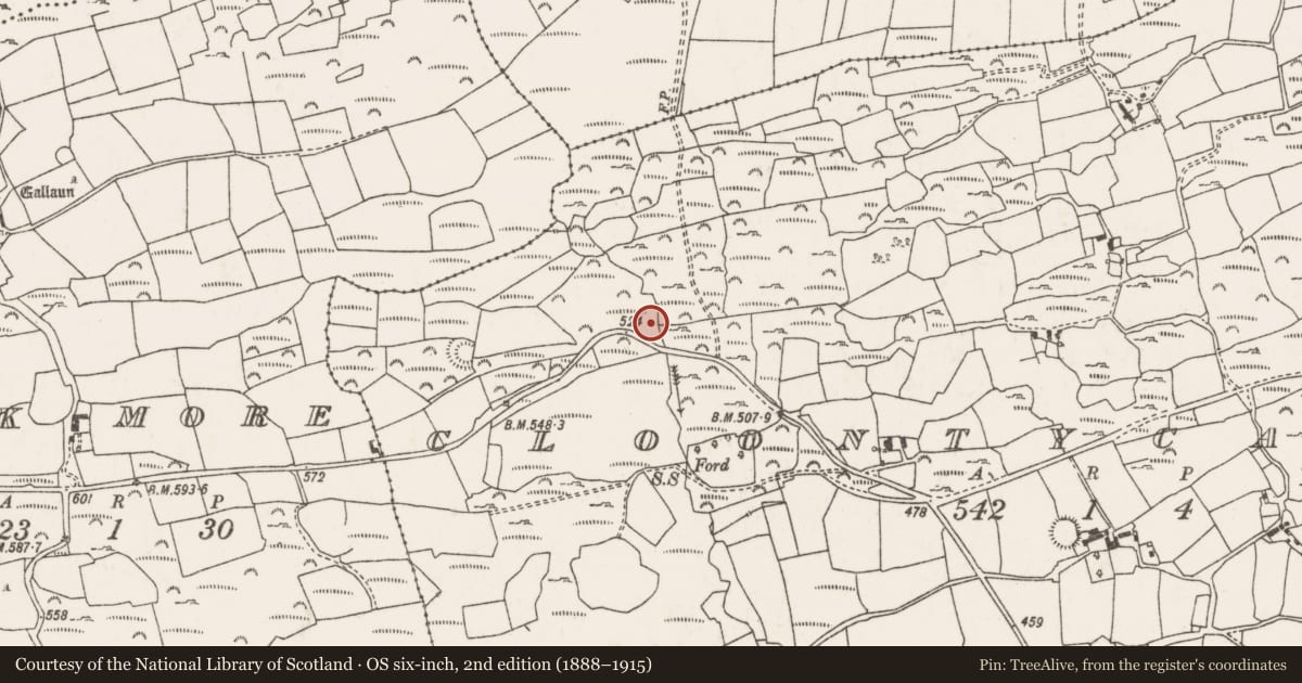 Ordnance Survey six-inch map, 2nd edition (1888–1915) covering the location of Water mill - horizontal-wheeled, Cluain Tí Cairtigh, County Cork, with a pin at the register's coordinates